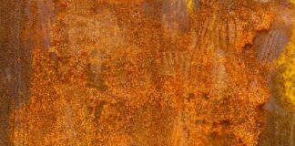 W jakim soku jest dużo żelaza? W jakim soku jest dużo żelaza?