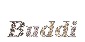 Czym się różni OBD II od OBD 2?