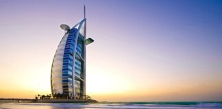 Jaki jest największy ssak w Polsce?