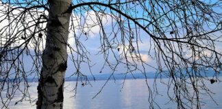 Jak ukryć prześwity na głowie? Jak ukryć prześwity na głowie?