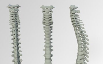 Czego brakuje przy wypadaniu włosów?