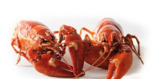 Czy można dostać raka po rzuceniu palenia?