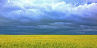 Czy chlorella może powodować zaparcia?