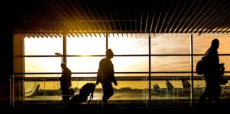 Co grozi pasażerowi gdy kierowca nie ma prawa jazdy? Co grozi pasażerowi gdy kierowca nie ma prawa jazdy?