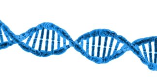 Czy kwas hialuronowy to serum? Czy kwas hialuronowy to serum?