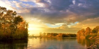 Jakie kolory fiolet do pobierania krwi? Jakie kolory fiolet do pobierania krwi?